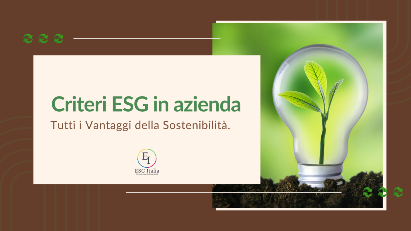BANDO ESG (ENVIRONMENTAL, SOCIAL E GOVERNANCE) E TRANSIZIONE ENERGETICA